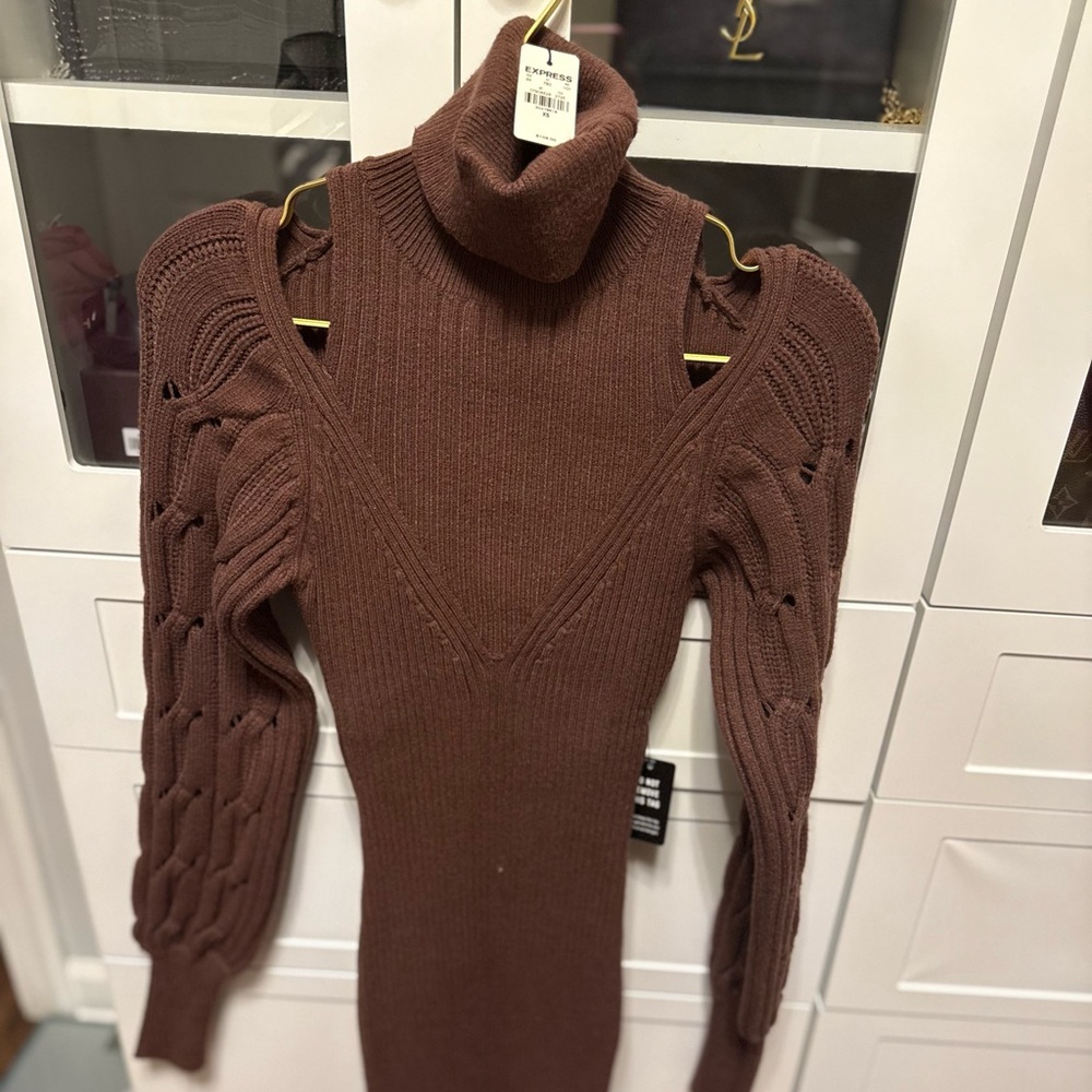 Express Brown Ribbed Turtleneck Sweater